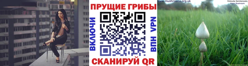 Псилоцибиновые грибы MAGIC MUSHROOMS Купить где Лангепас